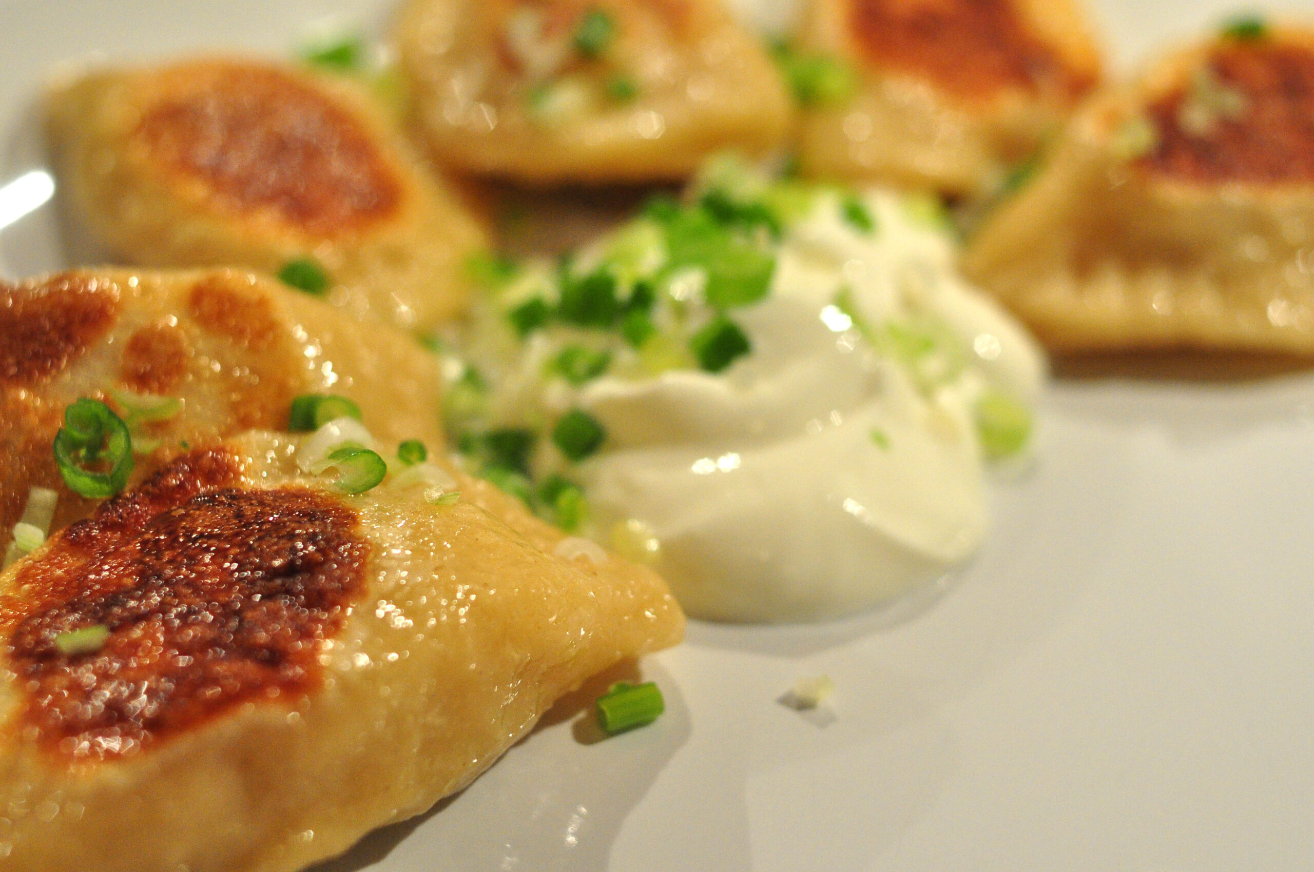 pan-fried pierogi with sour cream and scallions