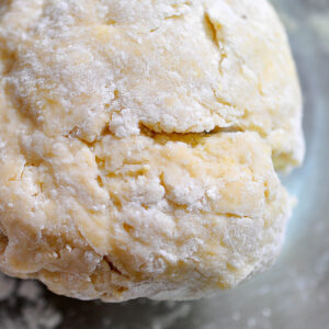 shaggy looking pre-rested fresh pasta dough